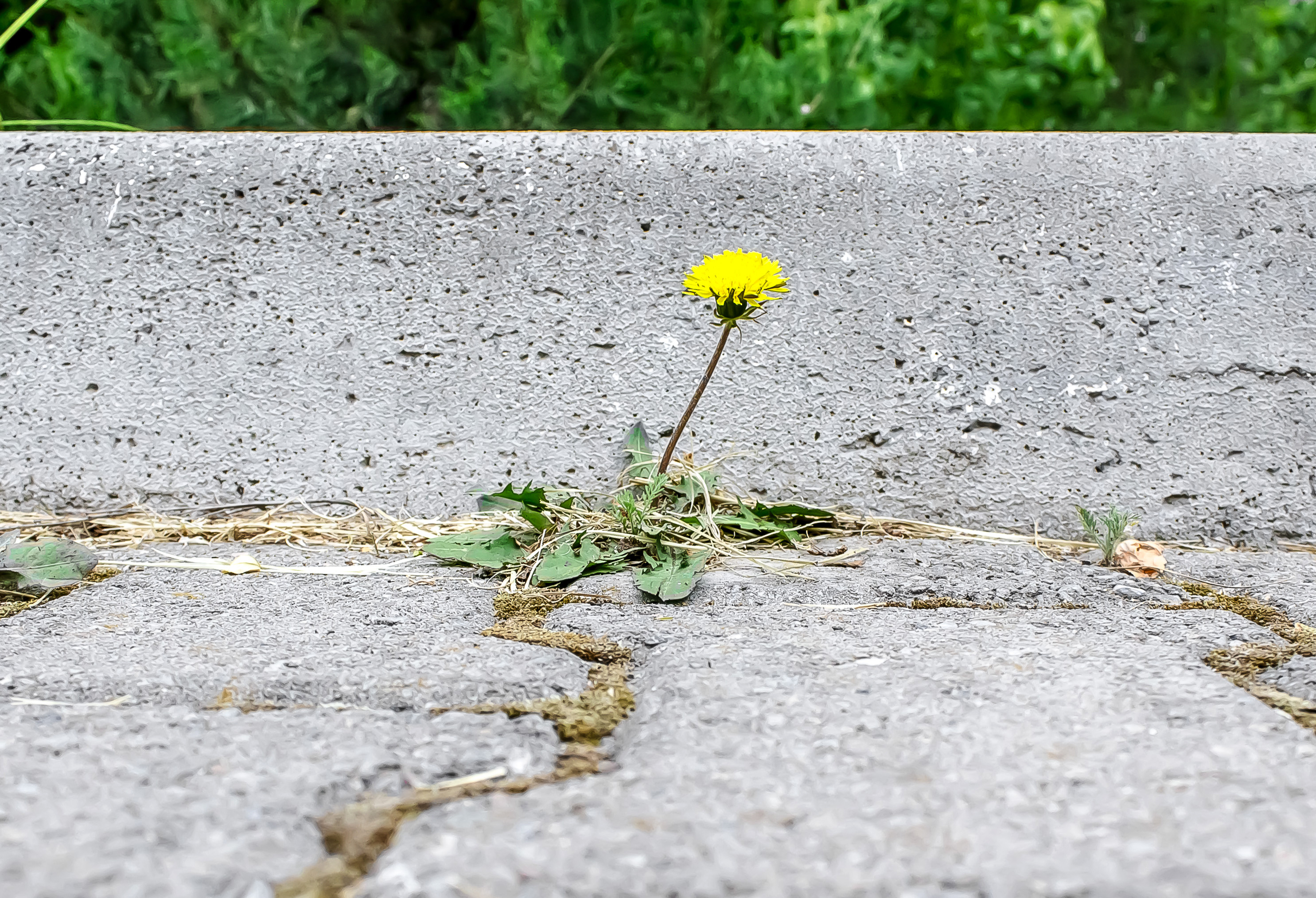 cracked pavement, needs repaving